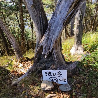 池口岳
