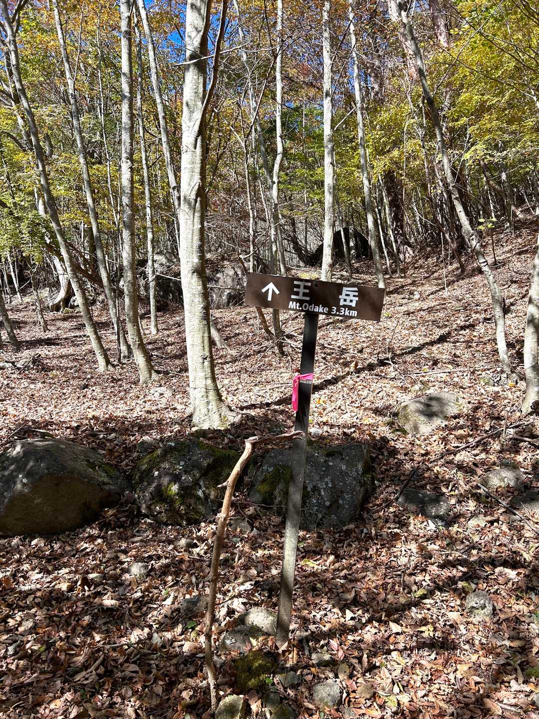 ようやく登山道が始まります