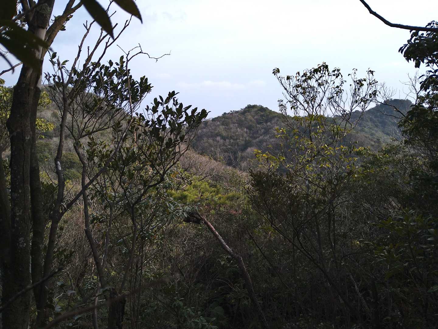 アップダウンアップダウン…気がつけば、蕎麦ヶ岳の山頂はあんな遠くに…