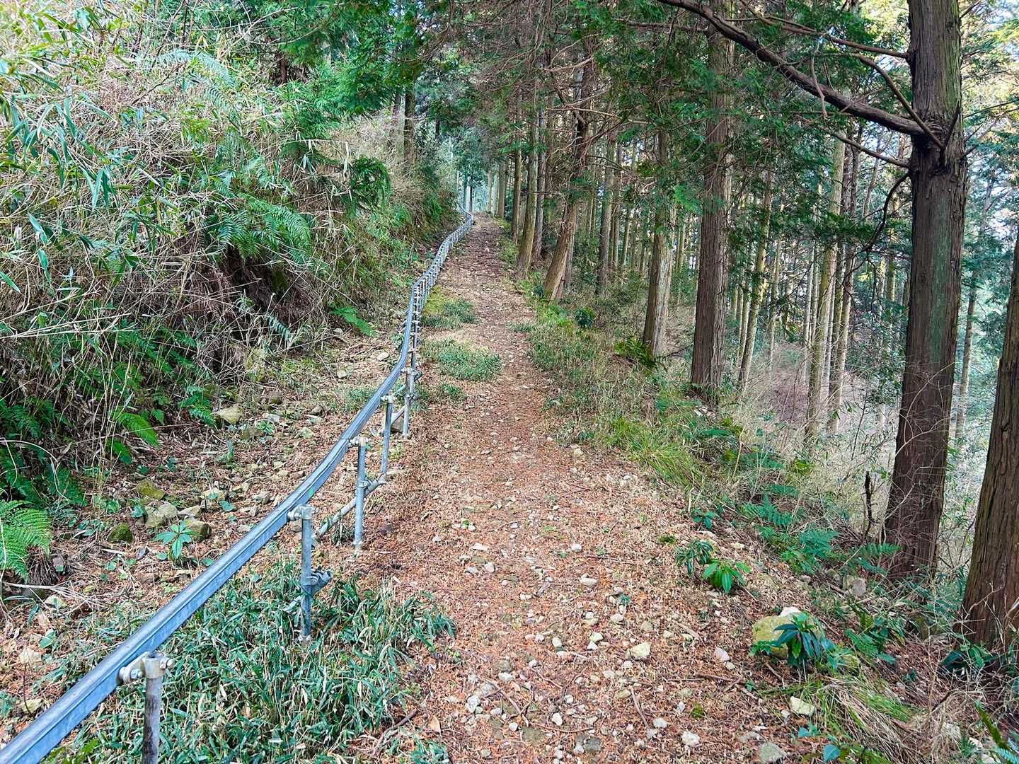 登山口からイタリ山手前まで荷上げ用モノレールが案内してくれます💁‍♀️
てか、コレん乗っけてくんねーかな😂