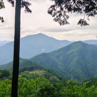 左側の高見山が近くに見えます⛰️

見る方向で見え方が違いますね⛰️