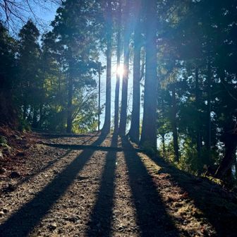 お天道様に感謝🙏✨
