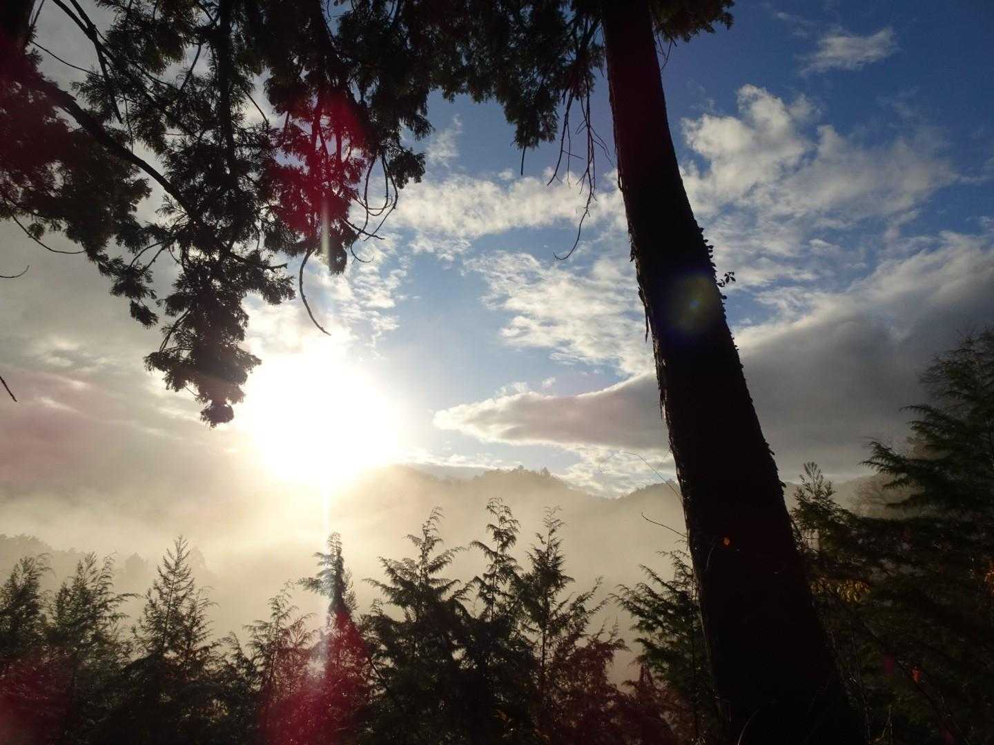 臼杵山-石津窪山-市道山-栗ノ木沢ノ頭-鳥切場-旧入山峠- 縦走コースの写真