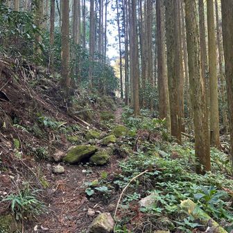 ステキ！ワクワク😍