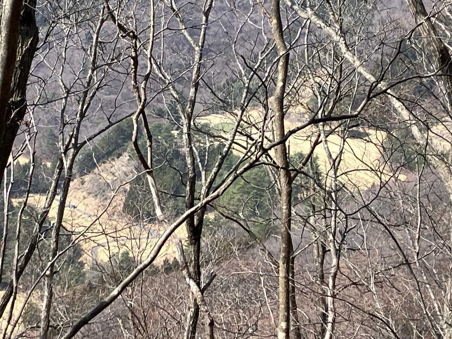 ここからゴルファー兵を狙い撃ちするんだな。
反対にゴルフ軍はカートに乗りハンター軍を狙いゴルフボールをこの陣地へ撃ち込んで応戦するんだな。