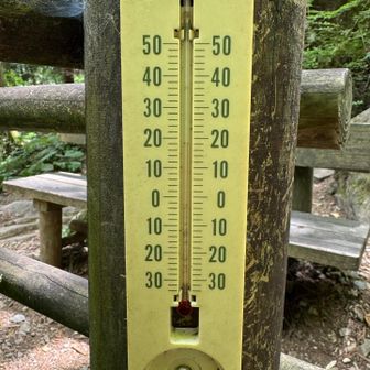 18℃、涼しさを越えて寒いくらい🥶