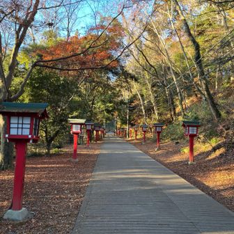 めっちゃ静かぁ〜