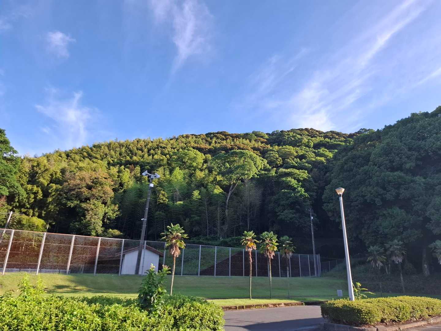 神園山
