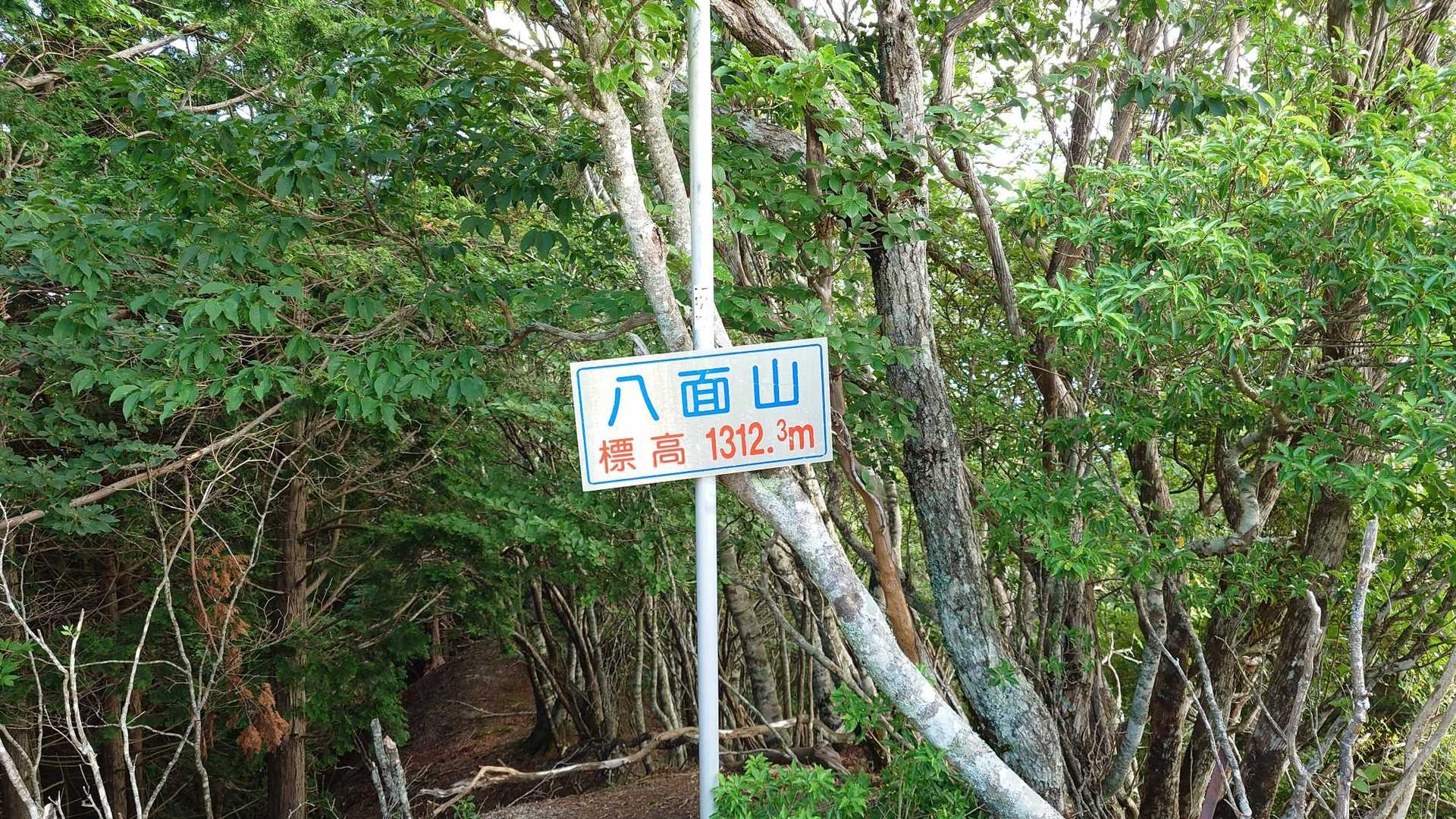 八面山1312m
89/100四国百名山