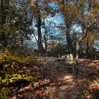 57　妙見山　143.4m
No.2
祠の横を通って尾根に上がる。