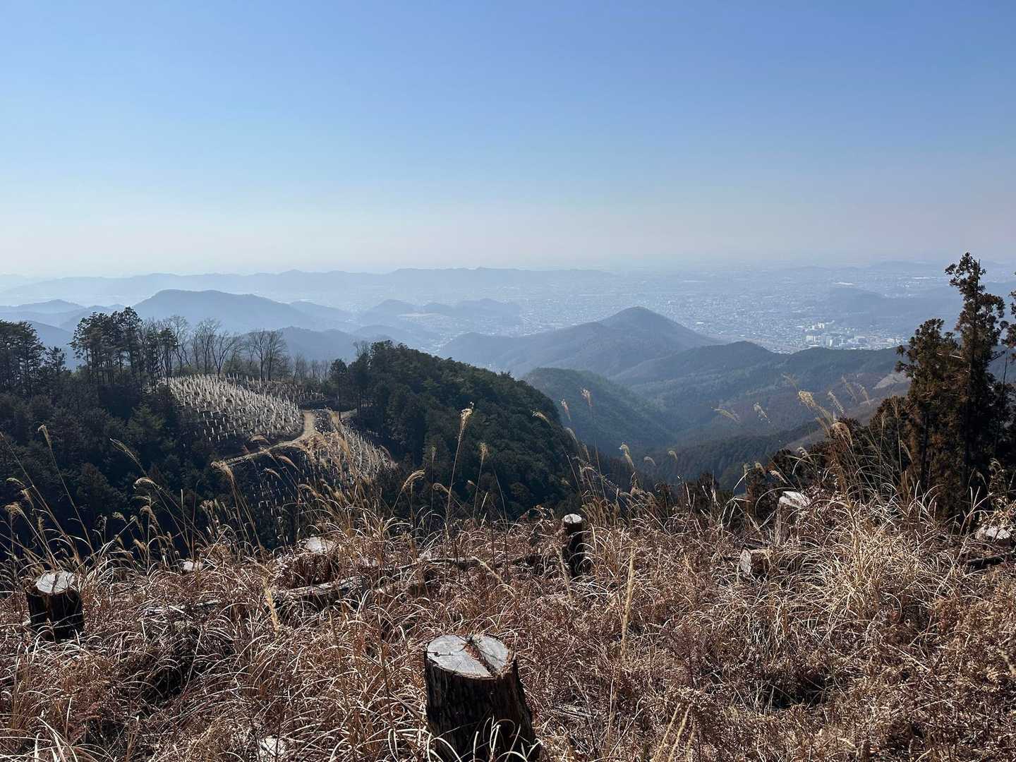 右から登ってきました
