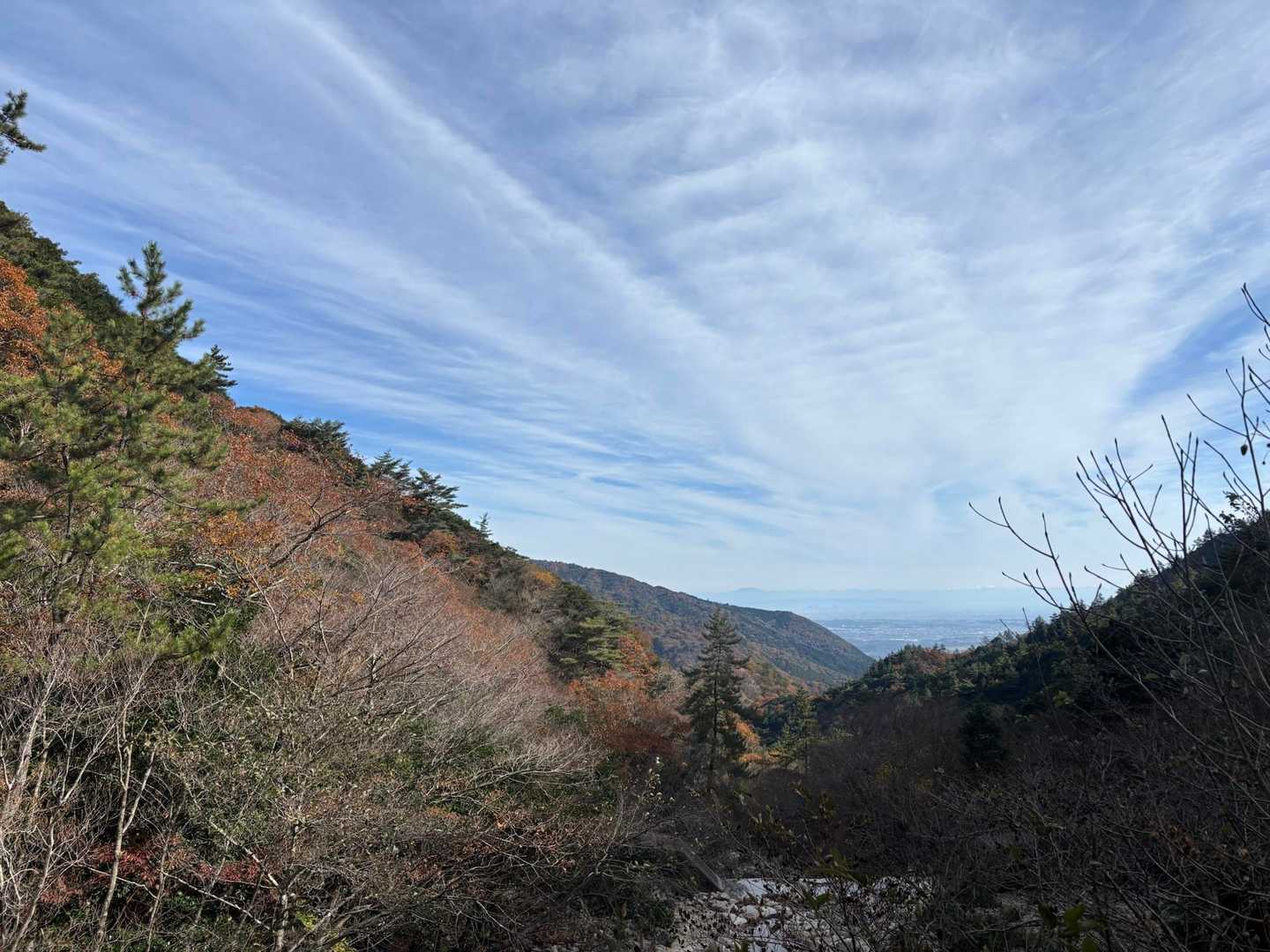 朝明登山口-根の平峠-杉峠-雨乞岳 往復コースの写真