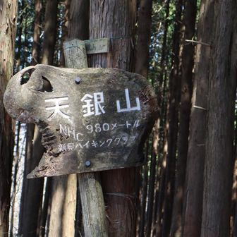 山頂、NHCさんありがとう