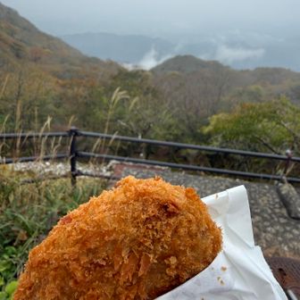 コロッケ食べて満たされた