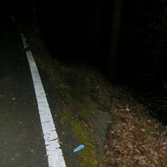 早朝６時、登山再開です。