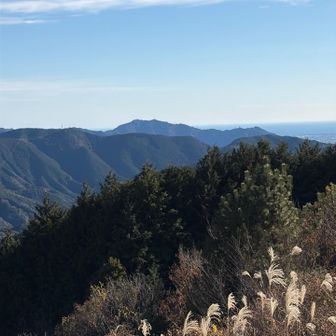 高草山方面。