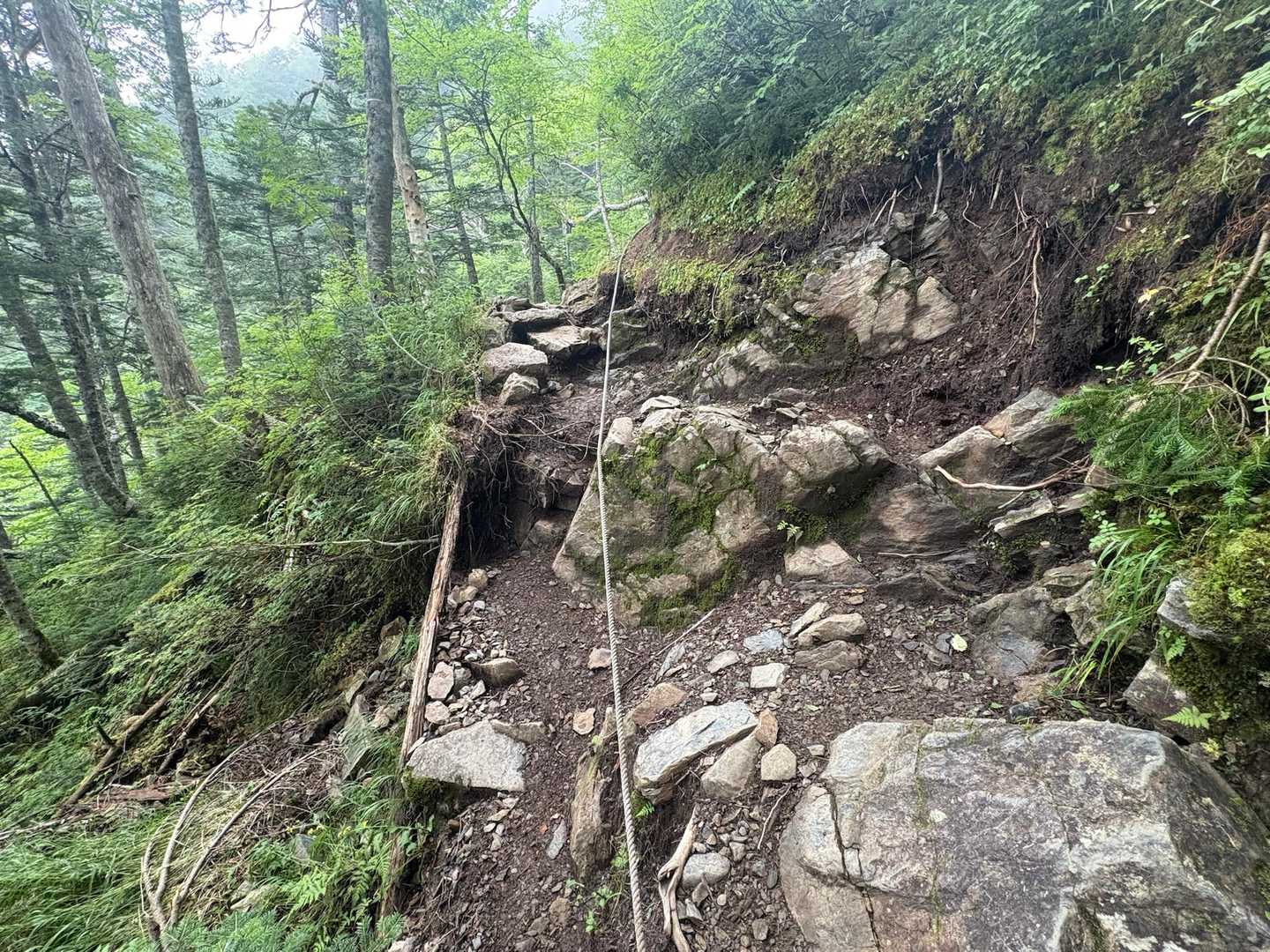 本谷山-三伏山-三伏峠-鳥倉登山口 縦走コースの写真