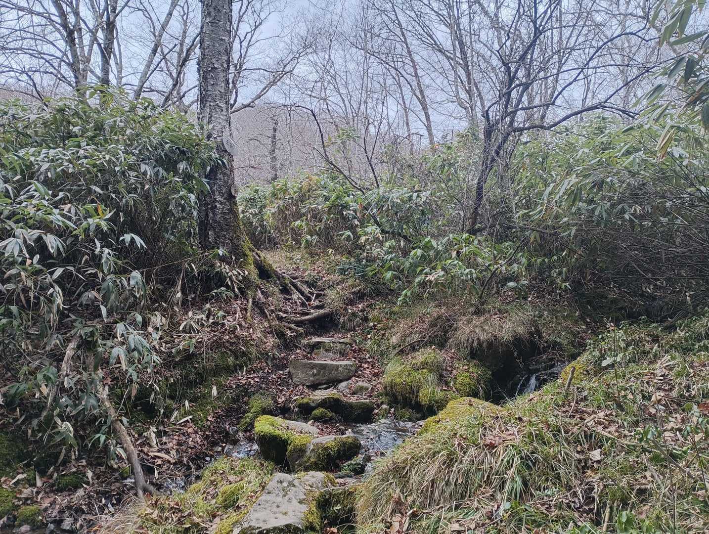 この辺りで滑って転ぶ