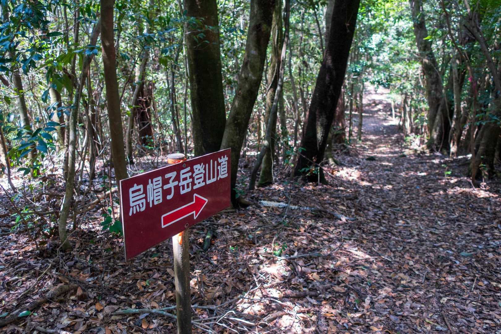 分岐