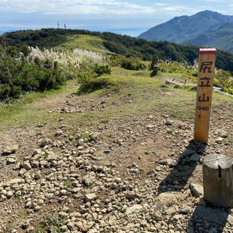 尻立山（ドンデン山）⛰️

↓さど観光ナビ↓
正式名はタダラ峰ですが、900メートル級の3つの山を合わせた高原一帯を「ドンデン山」と呼んでいます。頂の丸い山の意味「鈍嶺（どんでん)」に由来する通称が示すように険しい大佐渡山地のほぼ中央で、唯一穏やかな山容を見せています。

ほほぅ👀
