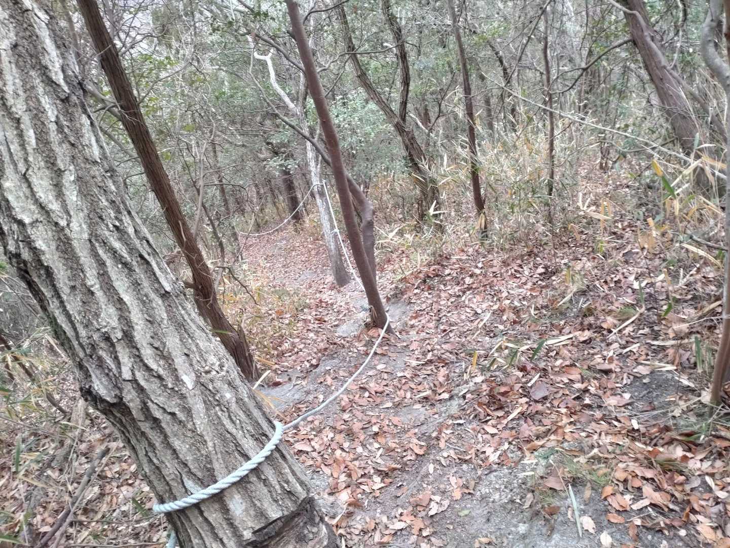 85度
※個人の感想です