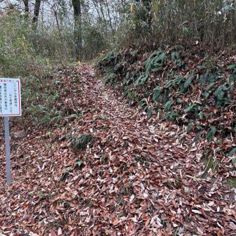 ラスボス、各務原権現へ向かいます