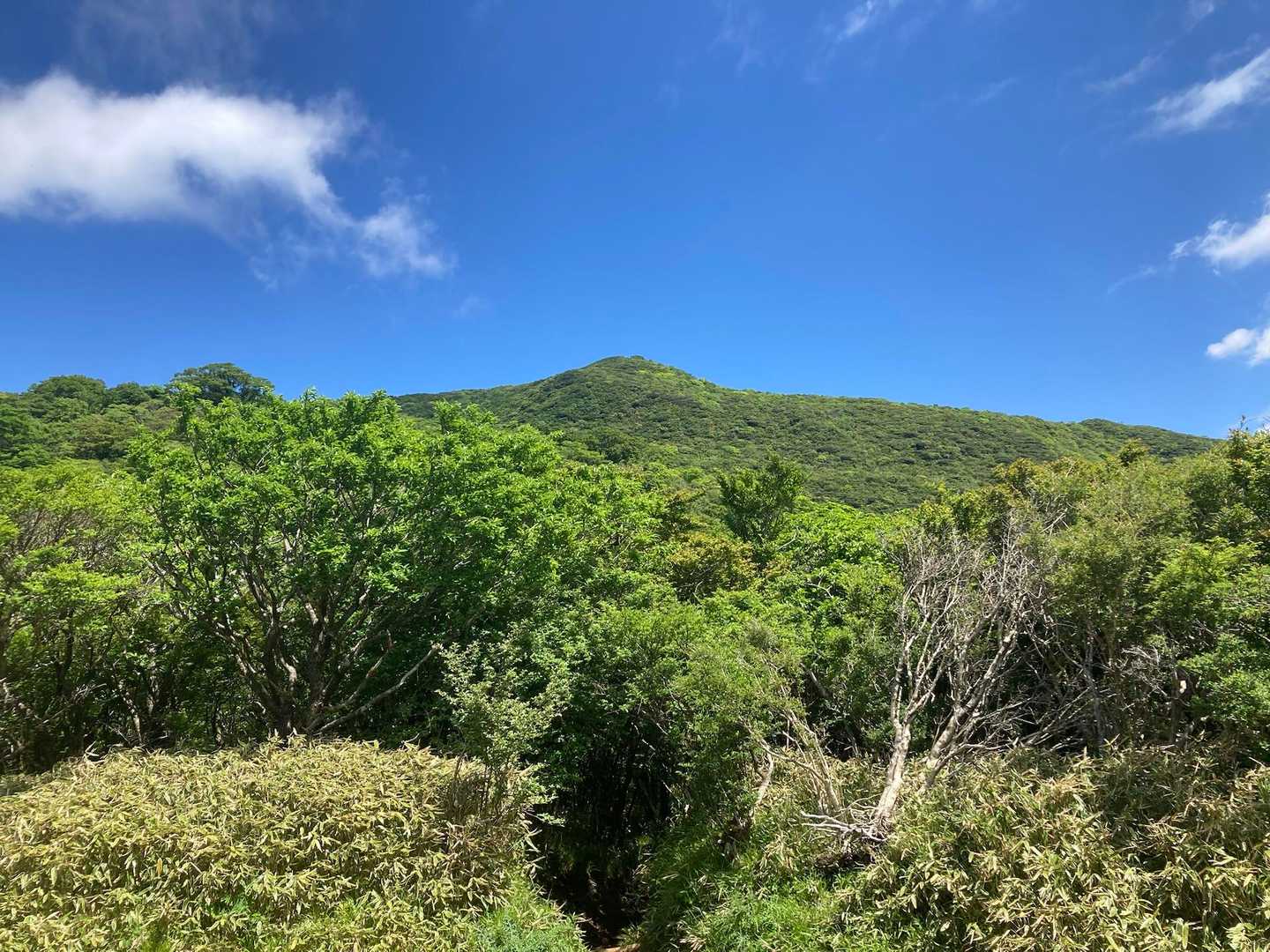 湖尻バス停-防ヶ沢登山口入口-防ヶ沢登山口-神山-箱根駒ヶ 往復コースの写真
