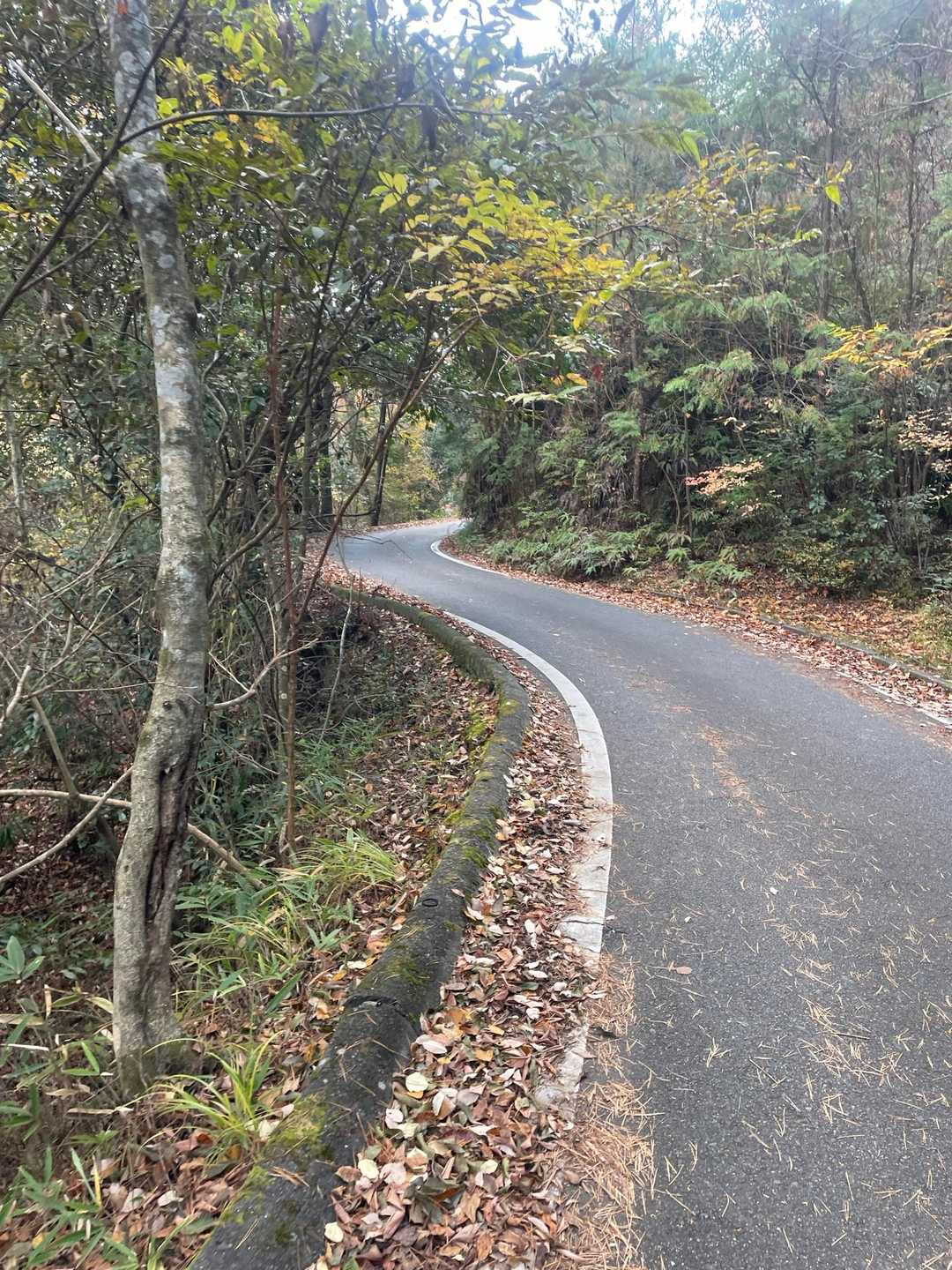 アルプス登山口バス停-堂山 周回コースの写真