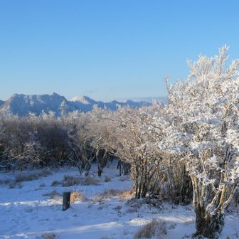 気持ちの良い景色