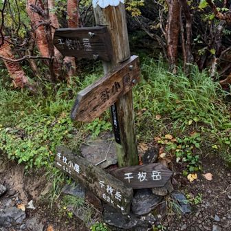 ２日目スタート