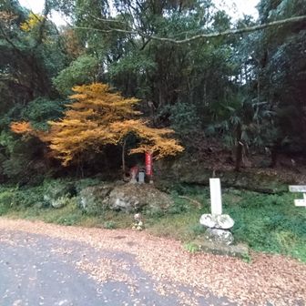 無事に下山
1時間を切りたい