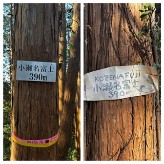 ④小瀬名富士
富士山見えるのかと期待してましたが、眺望なし😅