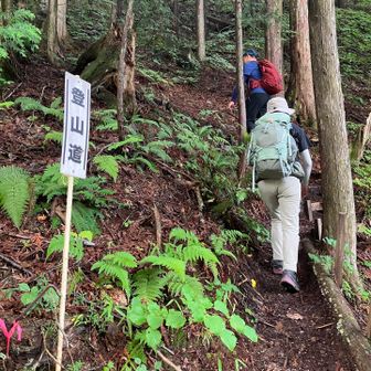 ここから登ります