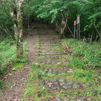 この石畳を登って行きます