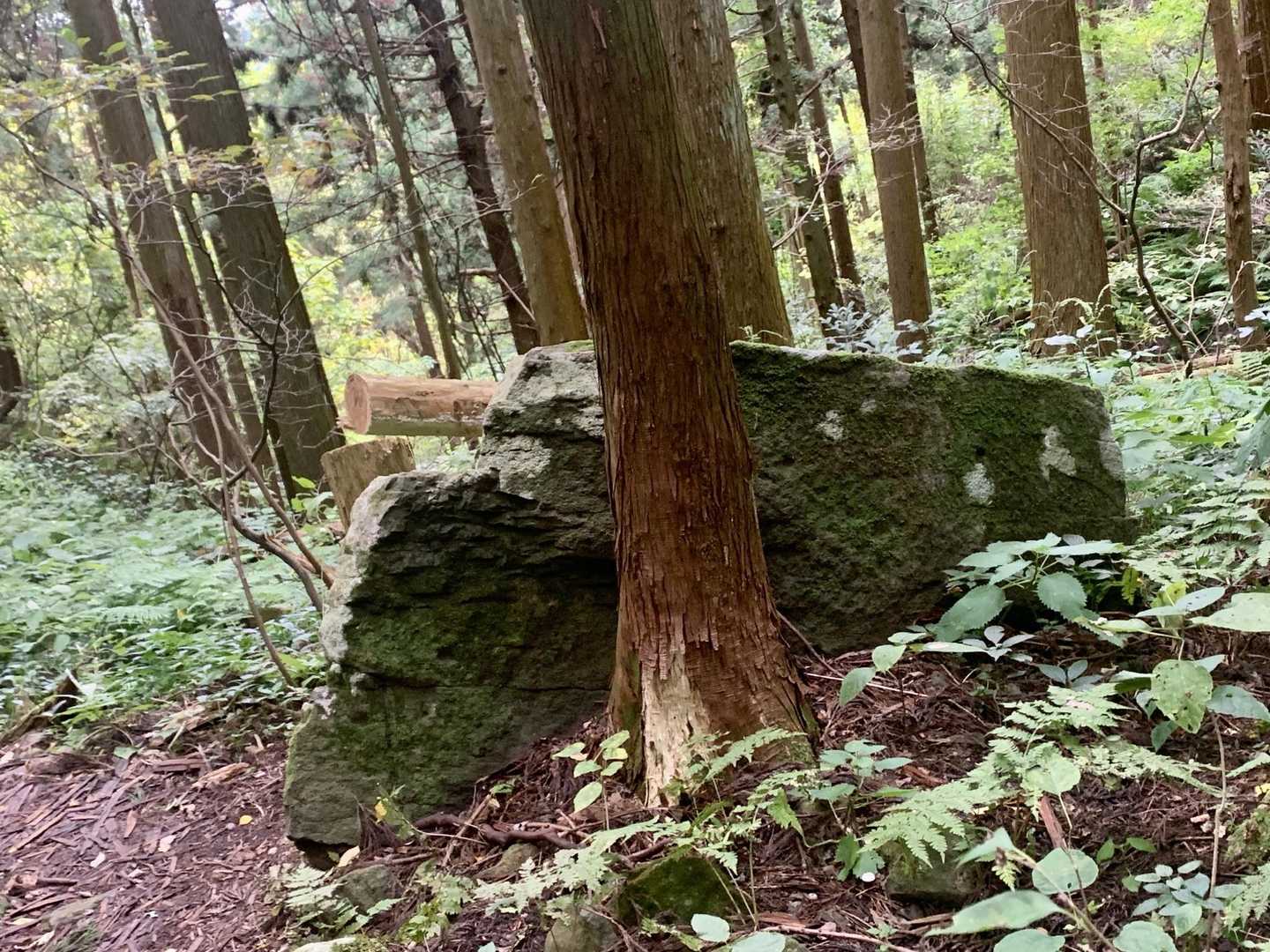カクカクシカジカの🪨

無事に下山
あれ？五りん石コースの五りん石ってどこにあるんだ🙄⁇