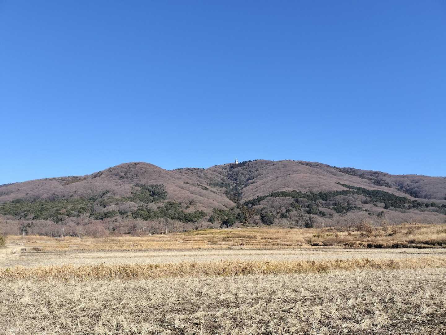 雲一つ無い。白い電波塔が目指す山頂だ。いかにも里山。この風景が大好き。