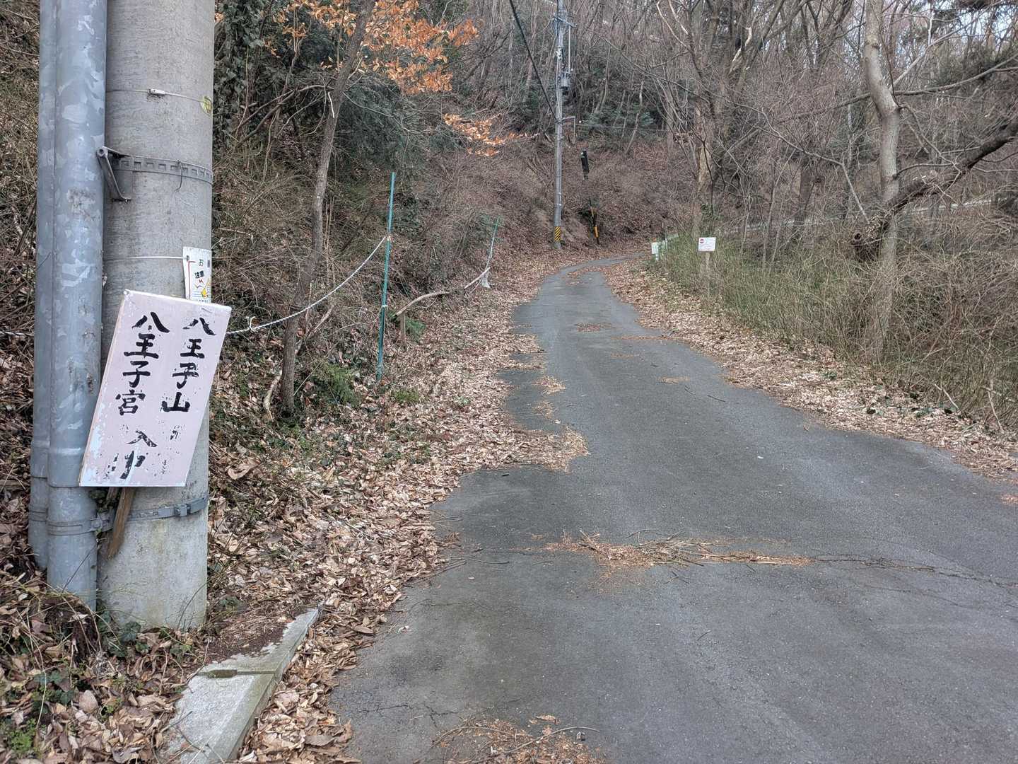 ぼちぼち歩いて行く