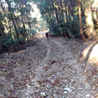 200mの急登💦しんどー