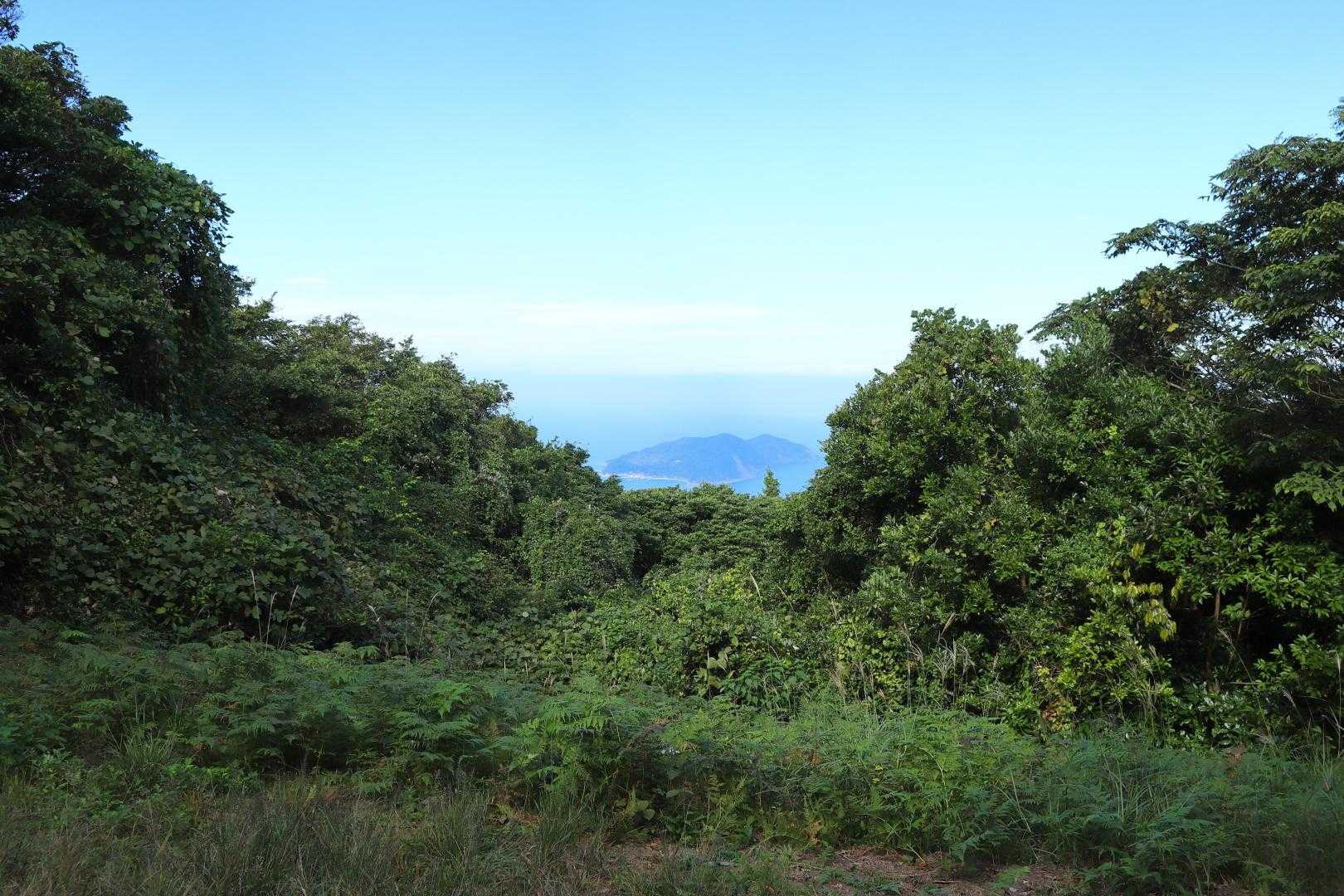 湯川山登山口-弥勒尾の峰-湯川山 周回コースの写真