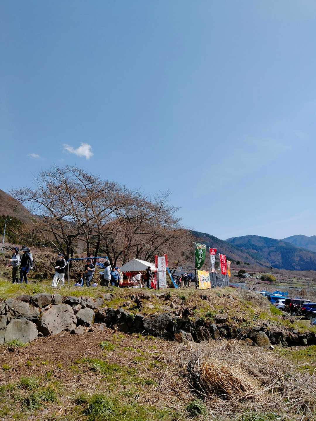 杏祭り開催中。生バンドの演奏中でした。地元の方が大勢、和やかに過ごされていてアットホーム感がとても素敵でした…。良いなー。
ここでみんなで飲んだ杏エード。美味しくてお土産に。