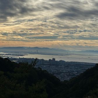 ユーザーヒナちゃん