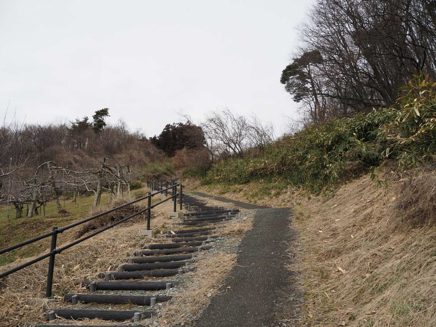 急階段を上ると