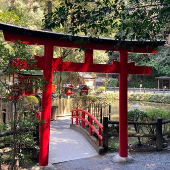 狭井神社の敷地内にある庭池①