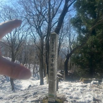 久しー。嬉しいー。