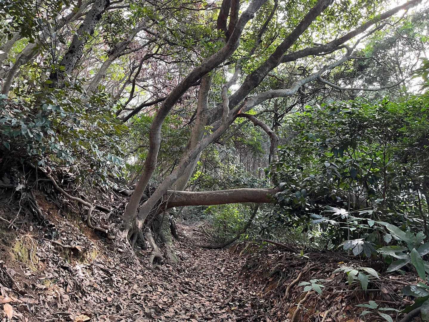 湯川の門か⁉️