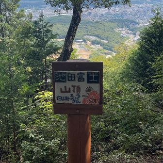 道中、蜘蛛の巣多めで