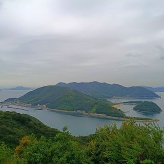 内海の田島、横島を見下ろす絶景に感動し…🥹