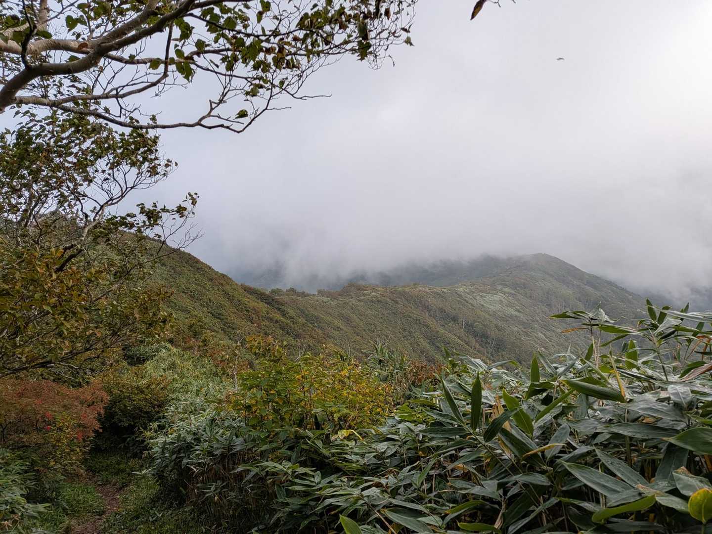 松手山からの稜線😰