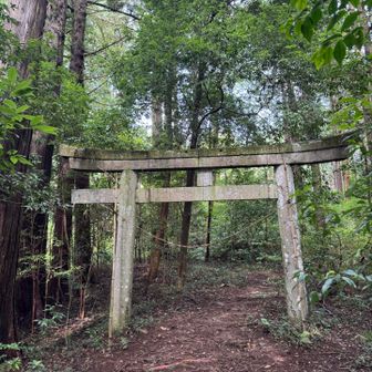南登山道入り口に無事下山しました。
短時間ながらもギュッと旨みが詰まった充実した山行になりました。古賀志山めっちゃ楽しいお山でした。近所に欲しい😆