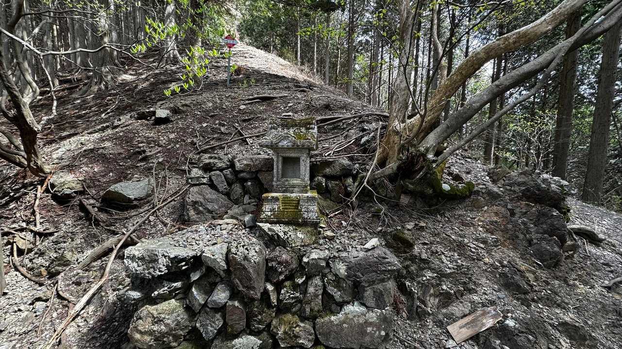 川苔山・梶尾根縦走 の写真 13